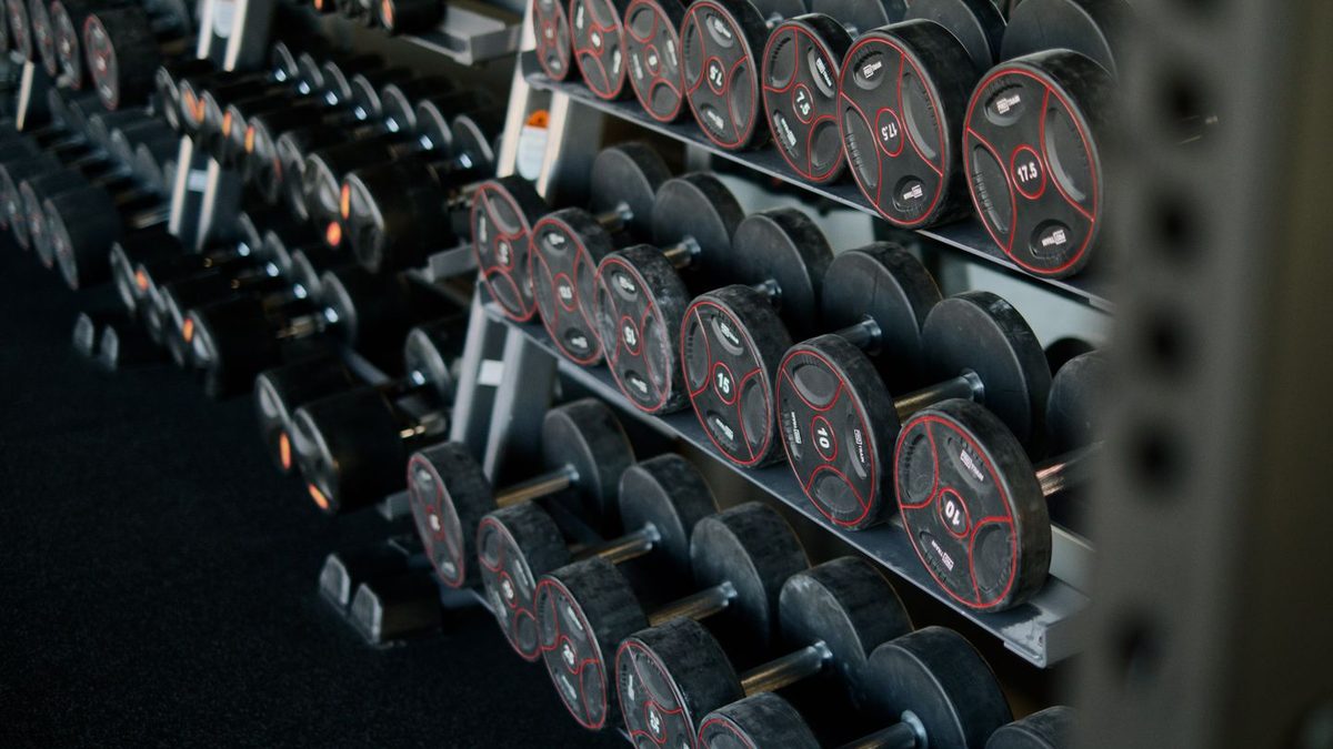 Best Dumbbell Rack