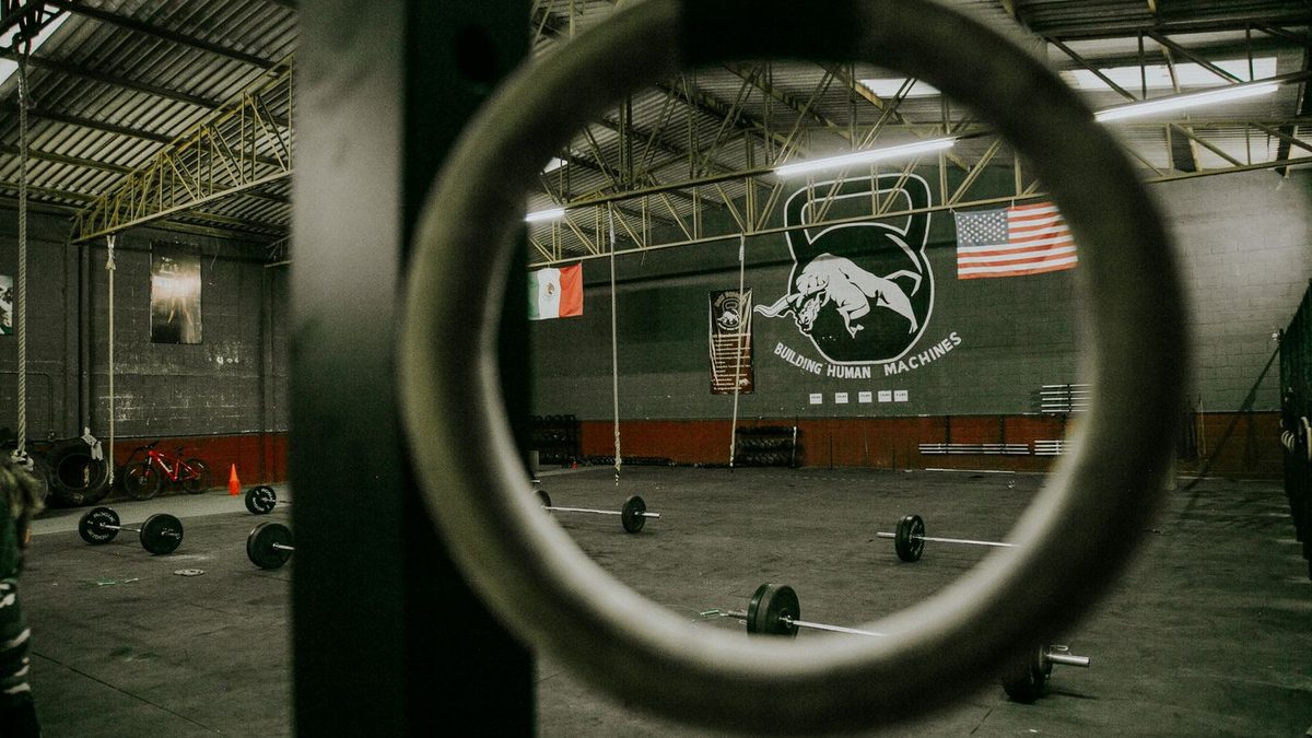 Best Folding Squat Rack