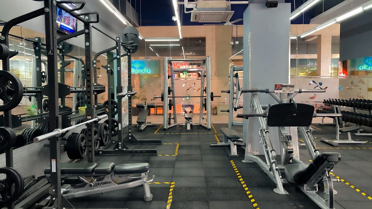 Best Weight Bench With Leg Extension